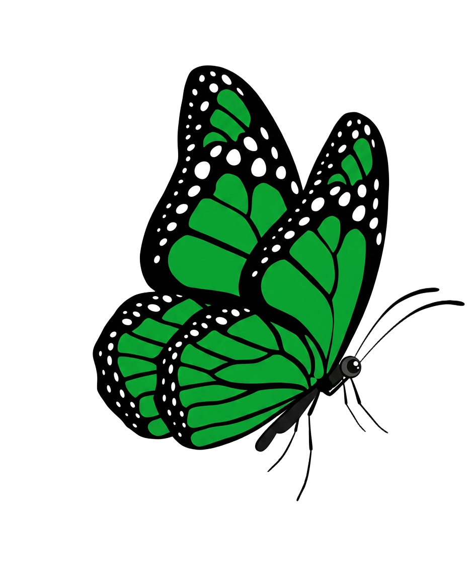 Papillon Evelyne Bondoux